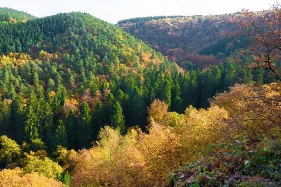 Vallee du Ninglinspo