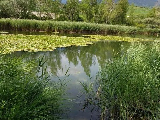 Lac du Mont d'Orge