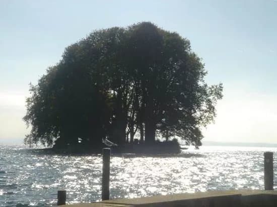 Ile de la Harpe