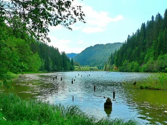 Red Lake