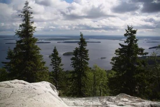 Koli Nature Centre Ukko