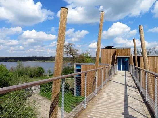 Aquascope Virelles