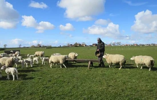 Boer Jens