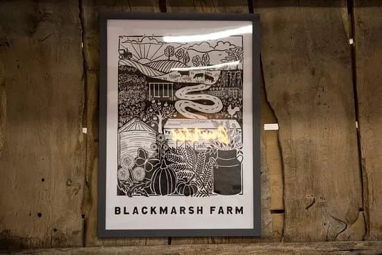 Blackmarsh Farm