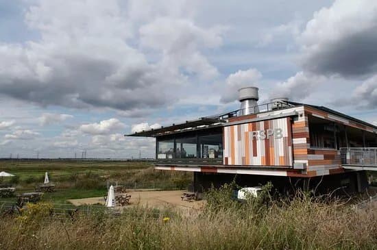 Rainham Marshes