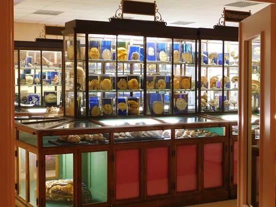 Musee des Sciences Medicales et de la Sante