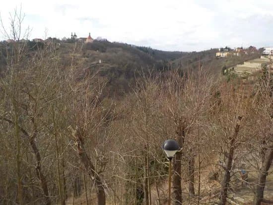 Granice Forest Park