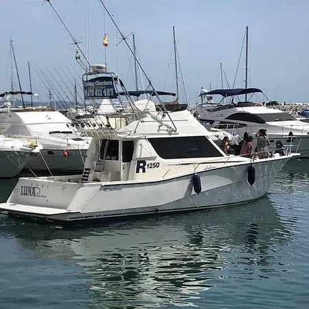 Lunapesca Boat Marbella Malaga