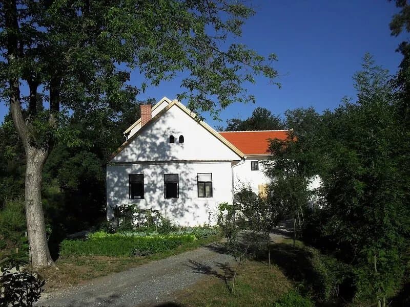 Old mill with quiet location and pond consisting of 2 separate residential units