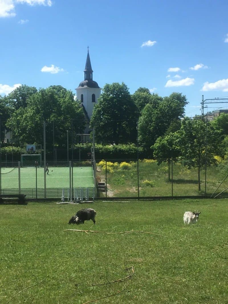 Radsparken