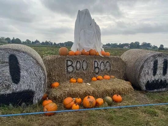 Bert's Barrow