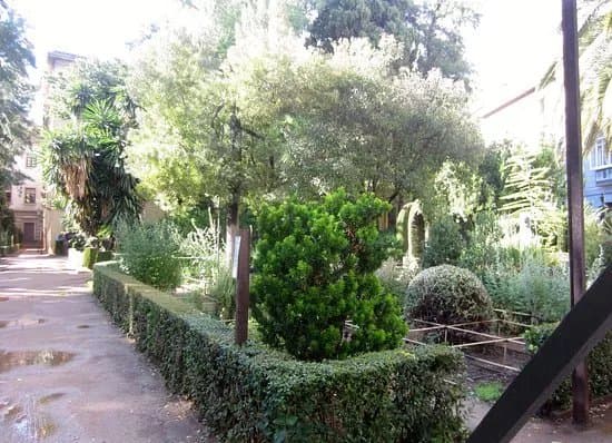 Jardin Botanico de la Universidad de Granada