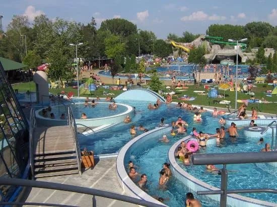 Viragfurdo Kaposvar
