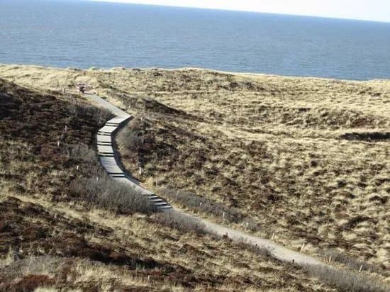 Uwe Dune