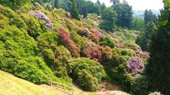 Parco della Burcina