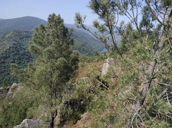 Mirador Do Duque
