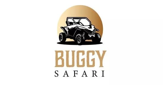 Buggy Safari