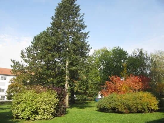Arboretum Sezimovo Usti