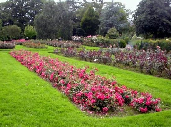 Tralee Town Park
