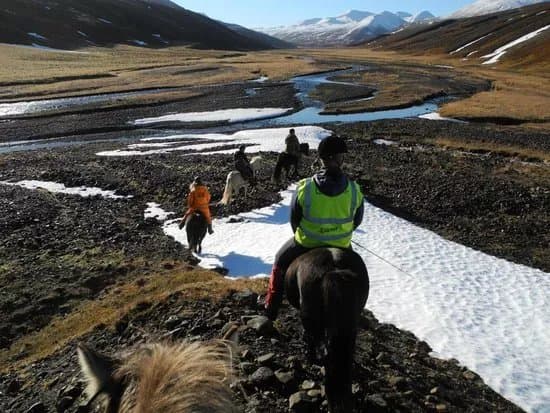 Iceland Horse Tours