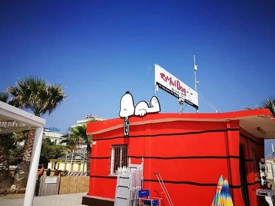 Rimini Dog No Problem - Bagno 81
