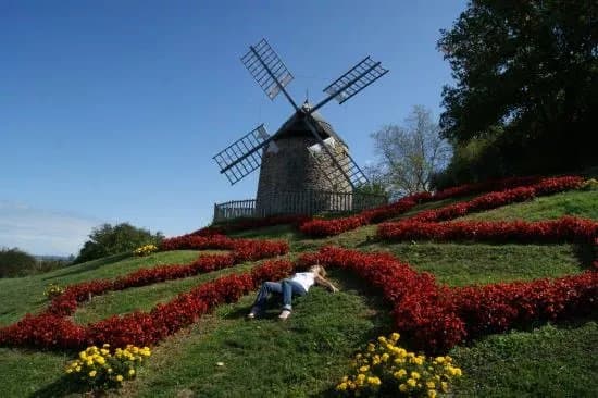 Office de Tourisme du Lautrecois-Pays d'Agout - BIT de Lautrec