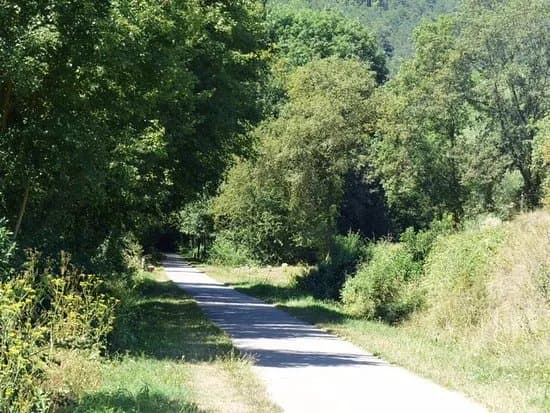 Ruta del Ferro
