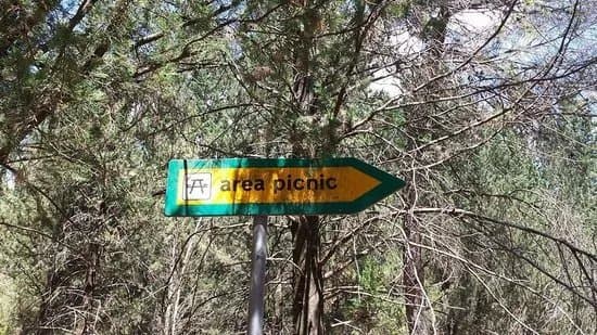 Foresta Mercadante