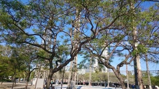 Parque de la Barceloneta