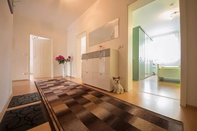 Comfortable apartment in the center of Dresden