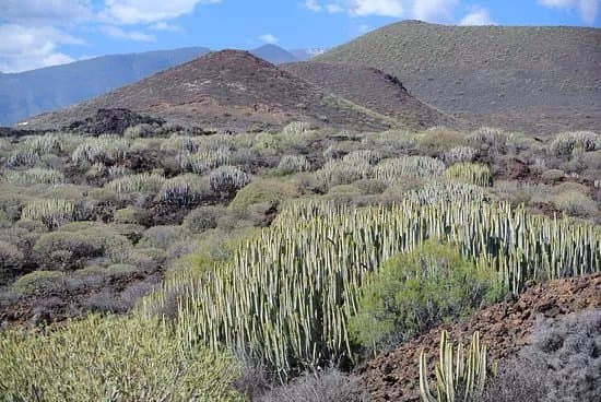 Malpais de Guimar