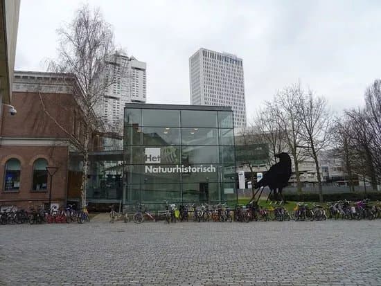 Natural History Museum