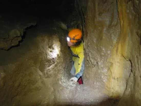 Csodabogyos Cave