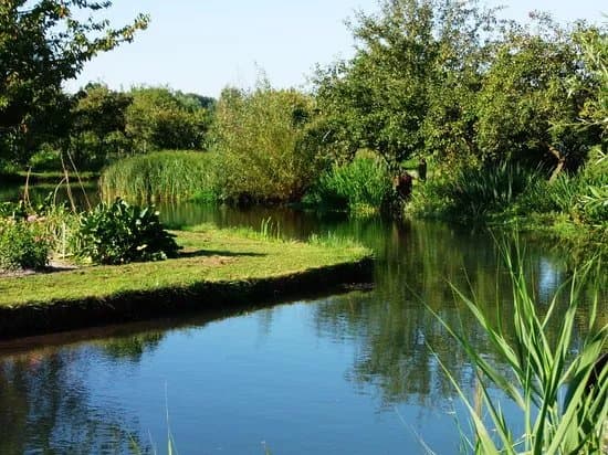 Le Marais de Bourges