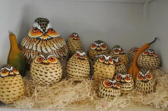 La Bottega di Mastro Gufo