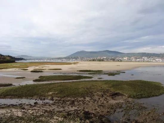 Baie de Txingudi