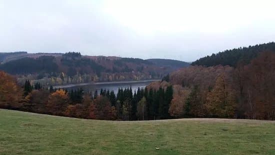 Greifvogelstation & Wildfreigehege Hellenthal