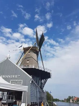 Sawmill de Salamander