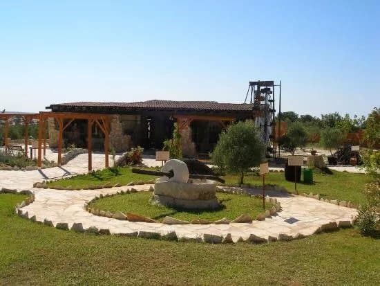 Oleastro Olive Park and Museum