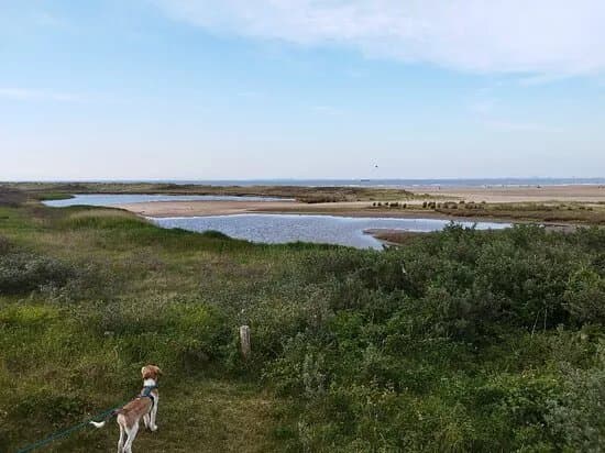 Verdronken Zwarte Polder