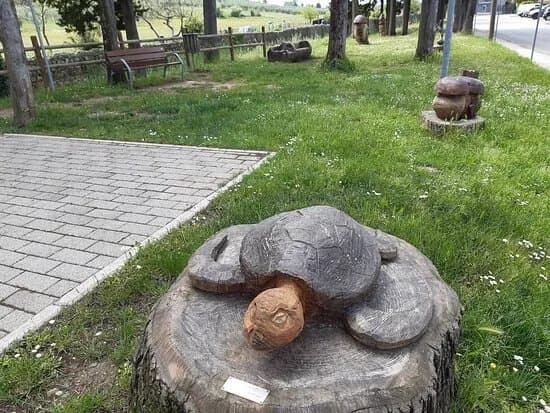 Campo da Gioco il Giardino Incantato di Bagnolo