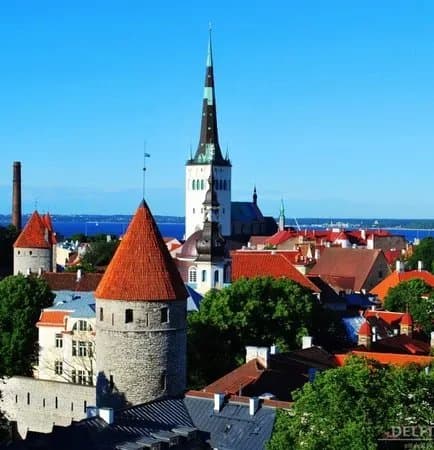 Tallinn Official Sightseeing