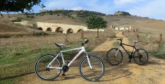 Carmona Bike Tours