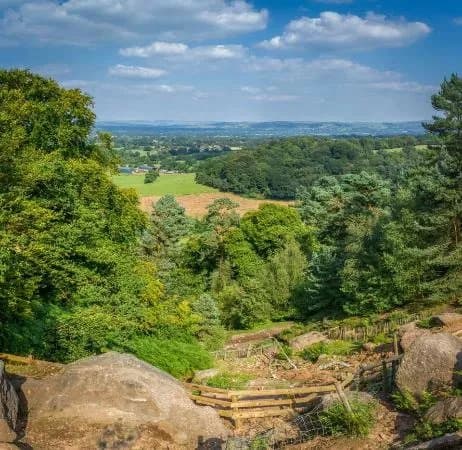 Alderley Edge Woodland Walk