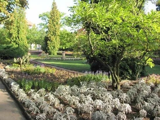 Jubilee Park