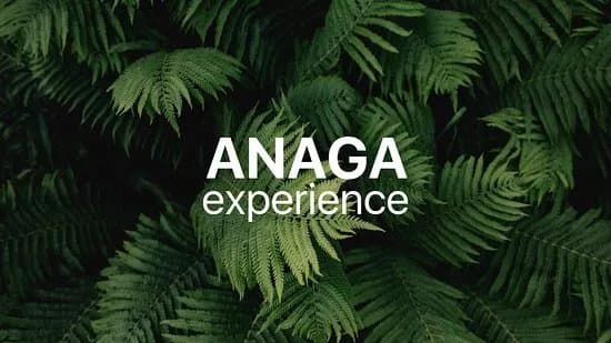 Anaga Experience