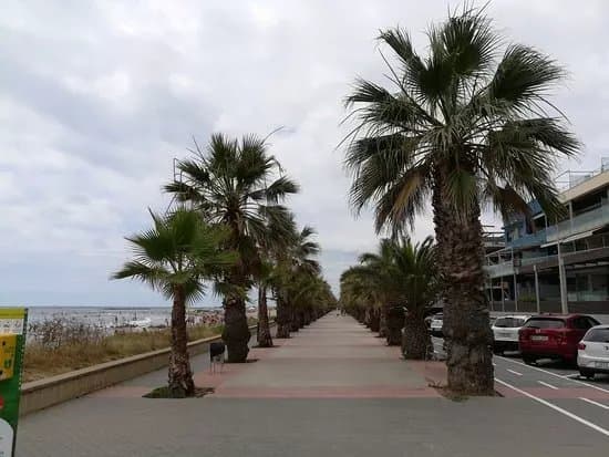 Platja de la Mota de Sant Pere