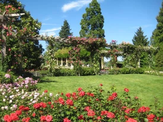 Isle of Mainau