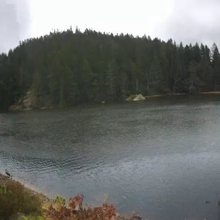 Brudsangen