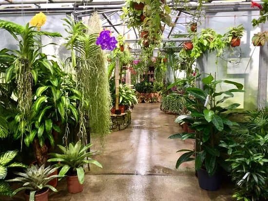 Orchidarium